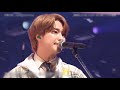 [한글가사/JPN] 恋春日和 | 사쿠라시메지 (#Sakurashimeji) 