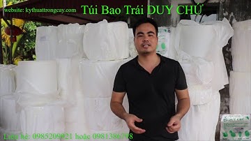 Xưởng Sản Xuất Túi Bao Trái Chống Côn Trùng Bưởi, Xoài, Mít, Na, Thanh Long