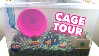NEW HAMSTER CAGE TOUR