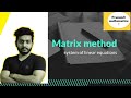 matrix method (system of linear equation)