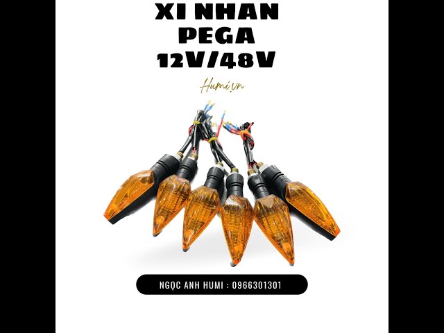 Xi Nhan PeGa 12v & 48v