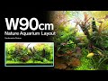 [ADAview] Underwater Nature 水中の大自然 -W90cm NatureAquarium Layout-【EN/JP Sub.】