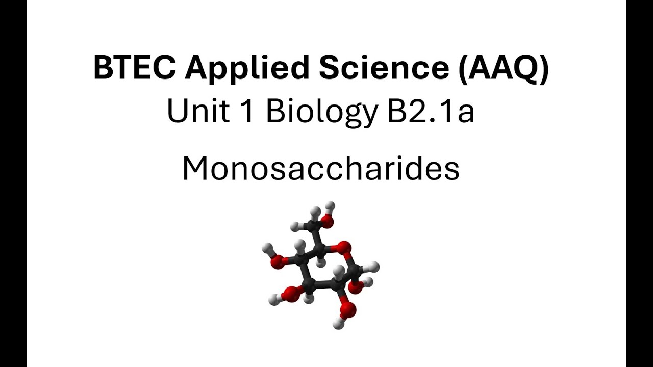 BTEC Applied Science AAQ: Раздел 1 Биология: Моносахариды