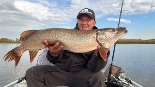 видео: Рыбы нет! Щука есть!🦈Красивая осенняя щука🔥Рыбалка с лодки на спининг🔥поиск щук с Lowrаnce elite fs🔥 картинка: Рыбы нет! Щука есть!🦈Красивая осенняя щука🔥Рыбалка с лодки на спининг🔥поиск щук с Lowrаnce elite fs🔥