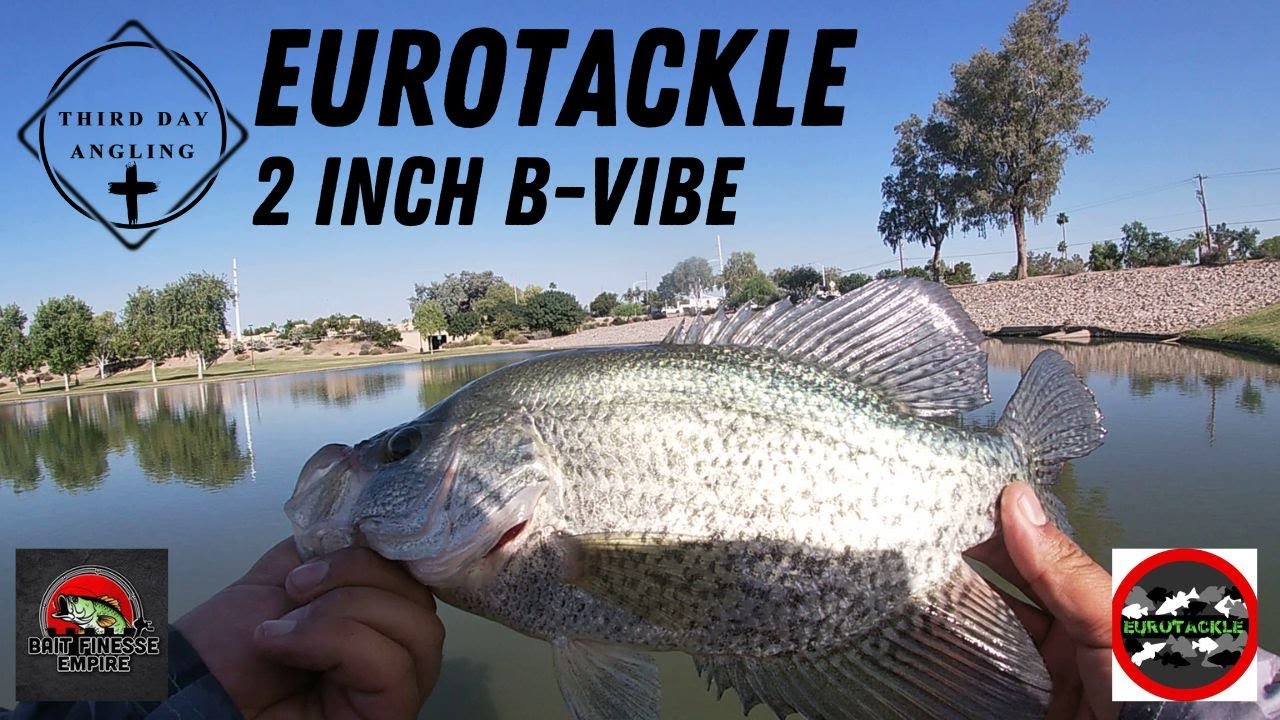 Bfs Fishing With Eurotackle's 2 Inch B-vibe - Feeling The Bite