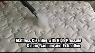 Experience Professionalism and Cleanliness with BriteClean Hygiene Services PLT