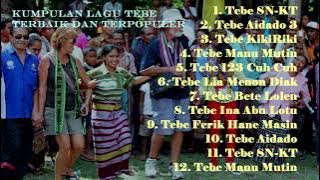 Kumpulan Lagu Tebe Terbaik dan terpopuler 2021