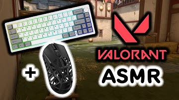 [Valorant Lofi #2] Keyboard and Mouse ASMR Sounds // Yunzii AL68 + Wlmouse Beast X