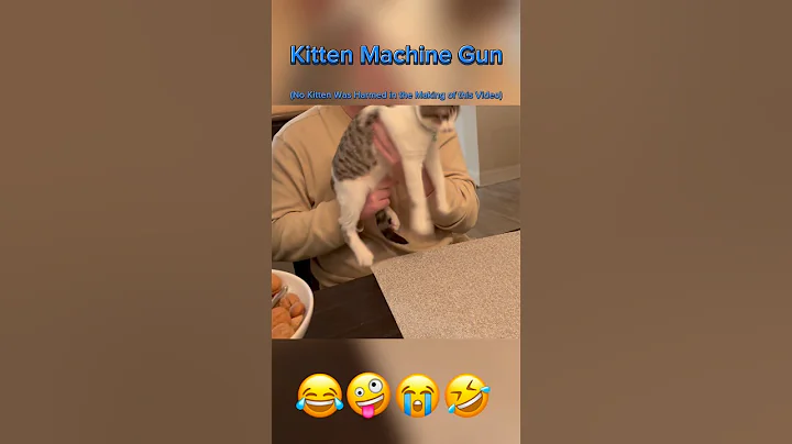 Watch the video about #2193 American Domestic Short Hair Kitten Becomes a Cute Machine Gun (No Kitten was Harmed)