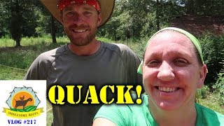 REALEASE THE QUACKEN! Protecting our Ducks from Predators!
