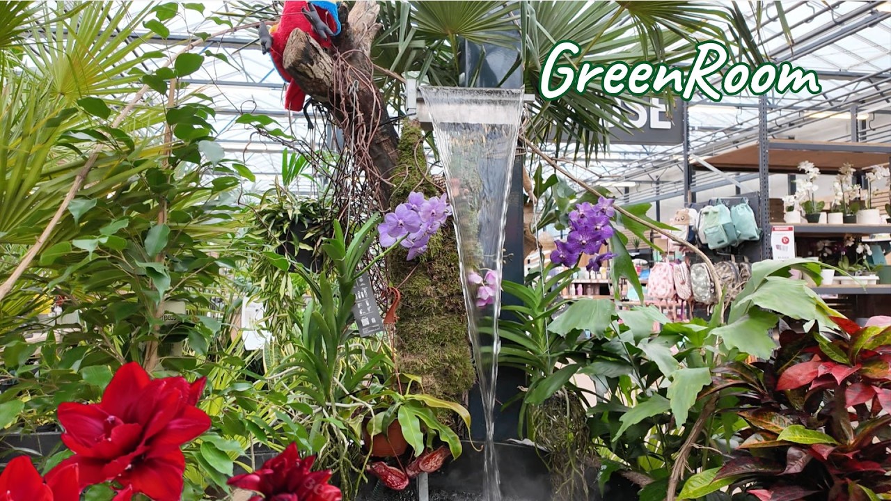 Большой садовый центр с разнообразными и редкими растениями.