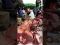 Very nice srilion cutting #meatindustry #food #bbqmeat #meatmarket #meatprocessing #fishcutting