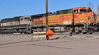 BNSF 5667 H2 Leads Coal Train SB with 2 Executive MACs Front and Rear!
