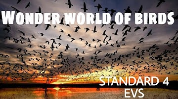 CLASS-4 EVS CHAPTER-4 WONDER WORLD OF BIRDS (KERALA SYLLABUS)