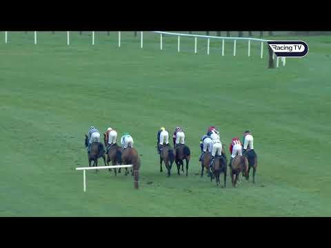 Champion bumper hope? Western diego bolts up for willie mullins at naas