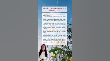 Sập Bẫy Khi Công Chứng Hợp Đồng Đặt Cọc | Đoàn Việt Hà