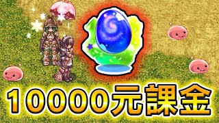 【勸世】在20年知名線上老遊戲課了10000元抽轉蛋的結果『RO仙境傳說』