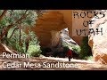 Permian Cedar Mesa Sandstone - The Rocks of Utah