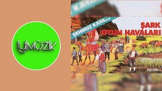 Şehmuz Kaya - Negri Resimi