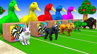 5 Giant Duck, Monkey, Piglet, chicken, dog, buffalo, cow, Sheep, Transfiguration funny animal 2023