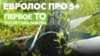 Евролос ПРО 5+ первое ТО после года работы