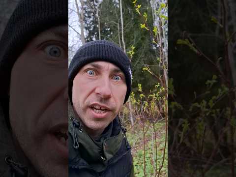 Лайфхак от клещей #комедия #приколы #юмор #тикток #клещи #весна #май #shorts #stalker