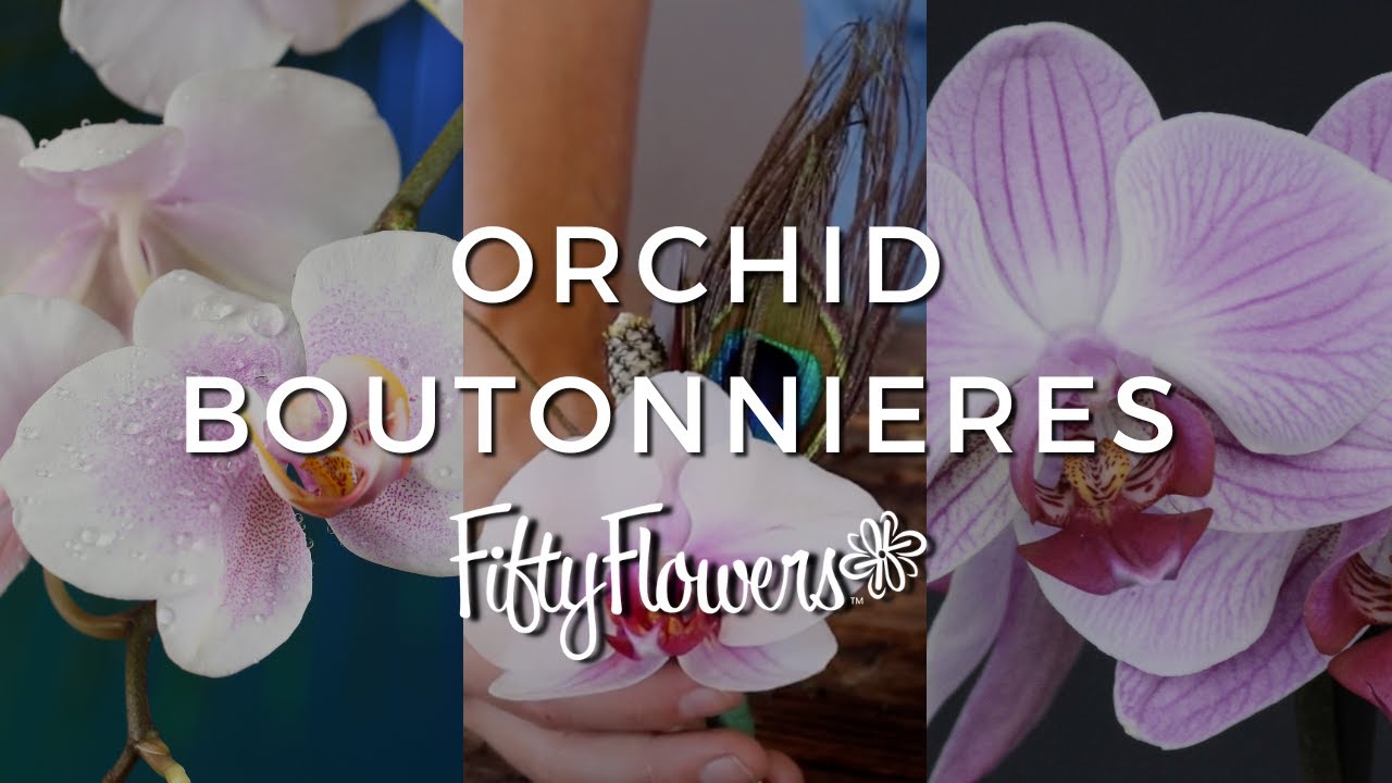 Making Orchid Boutonnieres and Corsages