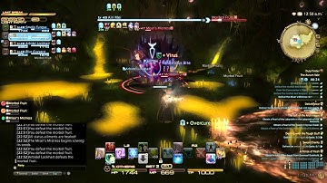 Aurum vale ffxiv healer POV