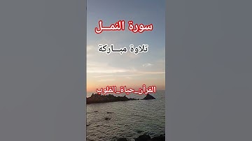 سورة النمل #ياسر_الدوسري #اكسبلور #القزابري #تيك_توك #المصحف #دويتو #الرحمن