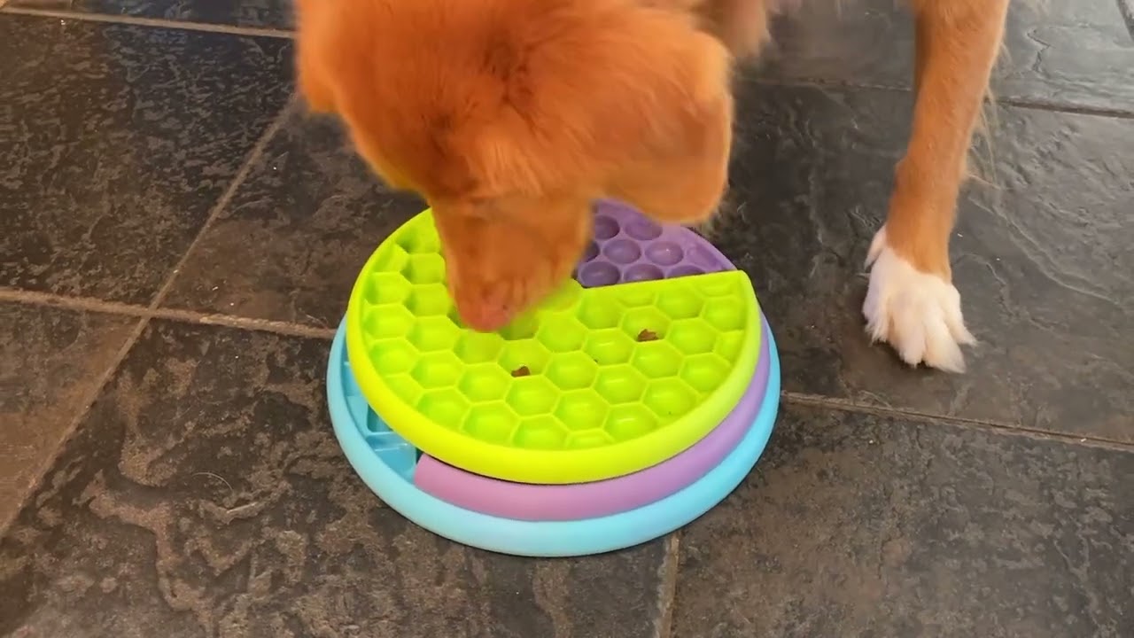 PUPPY LICKIN' LAYERS - DOG PUZZLE & FEEDER IN ONE - Nina Ottosson