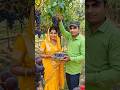 काले अंगूर के बाग़ 🍇❤️ #YouTubeShorts #BlackGrapes #Angoor #Village #viralvideo #IndianVillage #ai