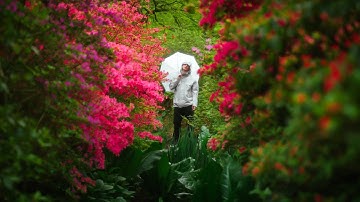 LKS - Isee  (Official Music Video)