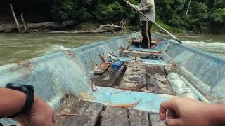 Kuala Betis River : Exploring the Hidden Gem  | Ikan Kelah Gua Musang, Kelantan