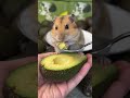 🥰😍😃 #viral #food #ai #youtubeshorts
