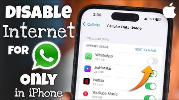 How to Disable Internet for WhatsApp Only in iPhone
