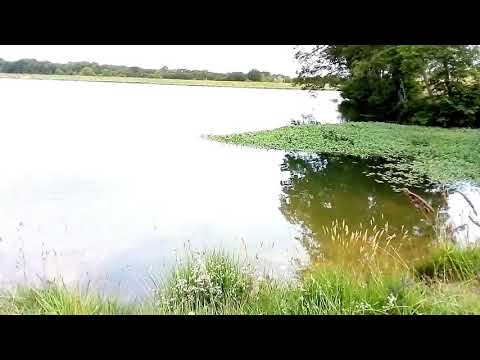 Lac d'Agès - Hagetmau