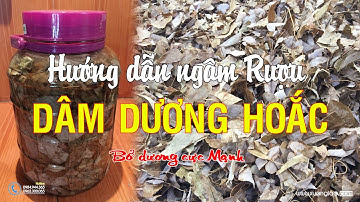 Hướng dẫn cách ngâm rượu lá Dâm Dương Hoắc bổ dương