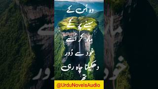 Husband wife bold romantic urdu novel   | Second marriage based urdu novel screenshot 5