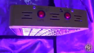 Mars Hydro Reflector 240 Unboxing - Wattage & PAR Readings - 30K Subscriber Giveaway!