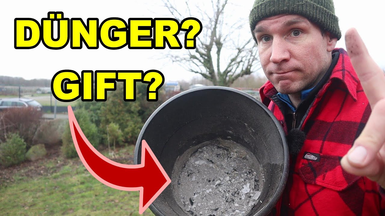 Was du unbedingt über Asche als Dünger im Garten wissen solltest! YouTube