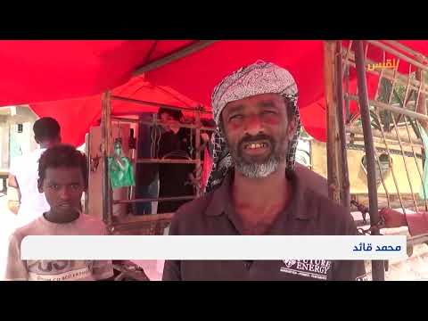 ارتفاع أسعار الثلج يضاعف من معاناة السكان في فصل الصيف بمحافظة لحج | تقرير: سامح عبد الوهاب