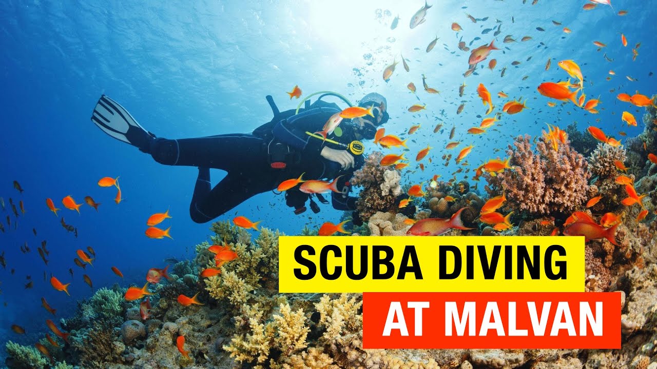 Scuba Diving at Malvan Tarkarli YouTube