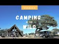 Ground Squirrels | Camping at Lesholoago | me, my wife and the wildlife [Episode 2]