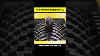 🐢 जब एक कछुए को Shredder Machine में डाल दिया गया 😭 | Turtle | Wait for End #shorts screenshot 1