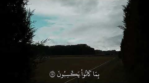 تلاوة جميلة سورة فصلت القارئ ياسر الدوسري 