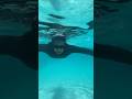 Transition Video Bali Subscribe Karo Fatafat Nahi To Nahi To Like To Kar Hi Dena Plzz ЁЯШВЁЯШВ Transition Video Bali Subscribe Karo Fatafat Nahi To Nahi To Like To Kar Hi Dena Plzz ЁЯШВЁЯШВ