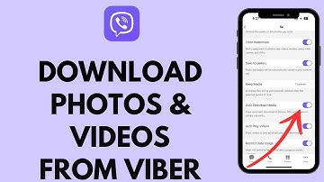 How to Download Photo / Video From Viber (2024)