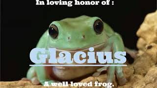 Cade The Frogger - Glacius