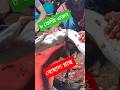 ৮ কেজি ওজনের বোয়াল মাছ। 🐟😱 Foreign Style Fish Cutting Skills Big Size🐬#shorts #fish #foryou