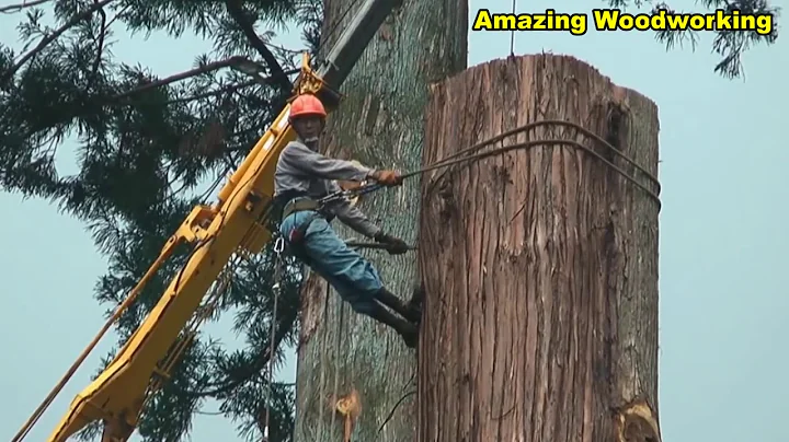 #Amazing Cutting Dangerous Japanese Large Tree Wood Felling Down Skill Chainsaws Fast Woodworking